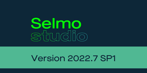 Logo Selmo Studio and the current version